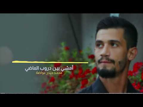 أمشي بين دروب الماضي محمد حيدر عواضة