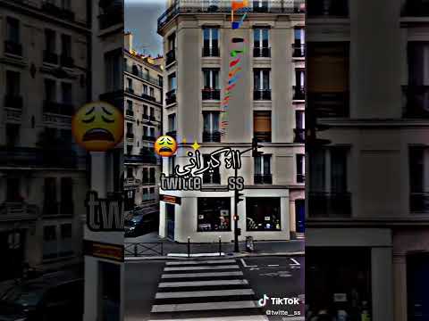 سيليبتار او هاني ياما كيراني