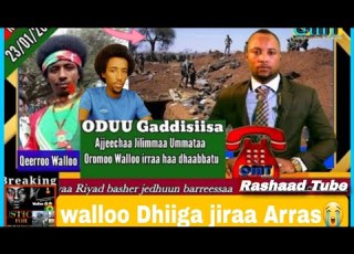  Wallook Arras Dhiiga Jirti Oromoo Ko Maalif Nu Dagatani Diina Giduti Jedha Jiru Lola Duguga Errat