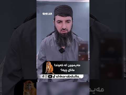 مەیموون لە خەودا مانای چیە لایڤی مامۆستا سۆران
