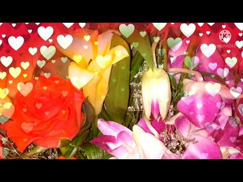 Odhani Odhali Piya Tere Tango Charlie Udit Narayan Mahalakshmi Iyer OS ENTERTAINMENT