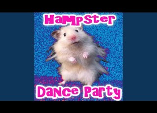 The Hampster Dance Party Mix