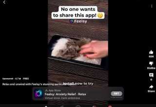 Shorts Feelsy Ad