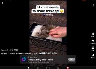 Shorts Feelsy Ad