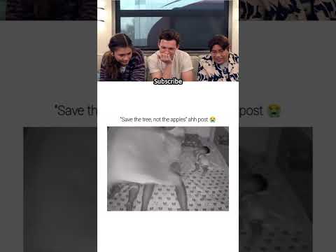 TOM HOLLAND FUNNY Meme Funny Laugh Viralvideo Memes Tomholland