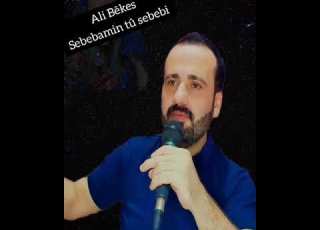  Ali Bekes Sebebamin Tü Sebebi Full Damar Kurtçe