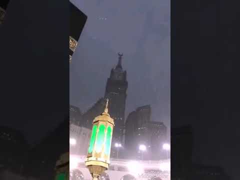 أنشودة أريد الحب في قلب شريف