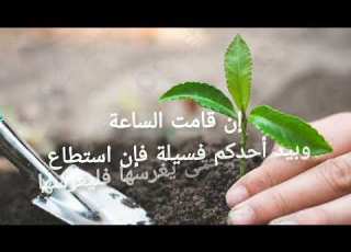 إن قامت الساعة وبيد أحدكم فسيلة فإن استطاع أن لا يقوم حتى يغرسها فليغرسها