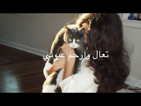 عبدالله الهميم انرفعت الجلسة مسرع