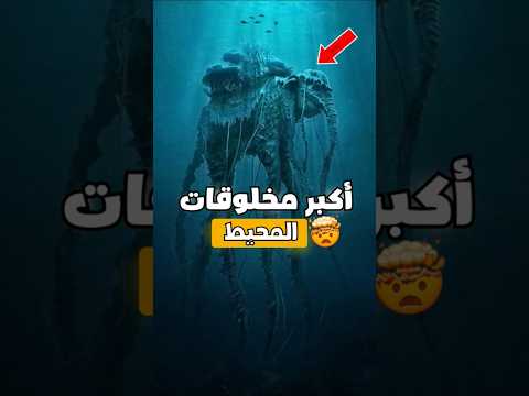أكبر مخلوق في المحيط مرعب