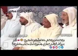 الحزب 28 قراءة جماعية