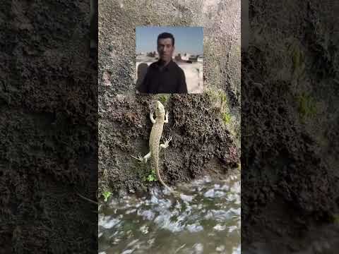 الحدود العراقية الايرانية Shorts اتمنا تابعوني على برتقالي 6hyouka9