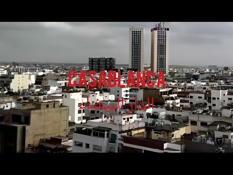 MORO CASABLANCA FT PROFIT ZA3IM VIDÉO CLIP