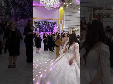 شوف خوات العروس شلون تعاركن على وردة ولا يستحن