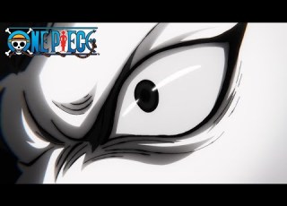 The Hallway Battle One Piece