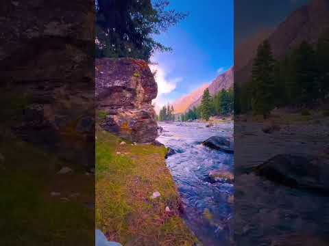 مقاطع مناظر طبيعية جاهزة للتصميم بدون حقوق طبع ونشر Tiktok Shorts