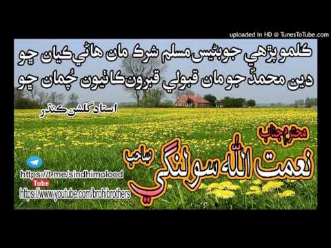 NAIMAT ULLAH SOLANGI