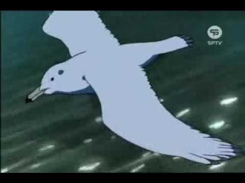 القط الأسود 15 Black Cat