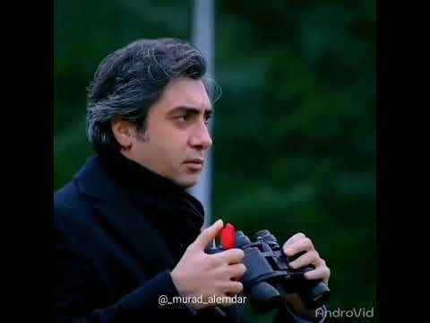 وادي الذئاب الجزء الثامن