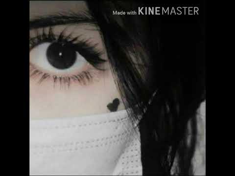 جابولنا الحنه من خوفهم منا جابولنا الحنه من خوفهم منا