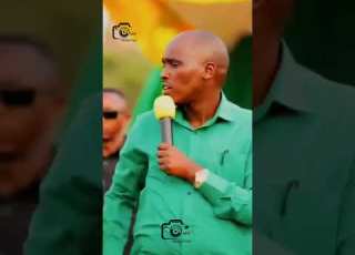 WANAKULA MSIENDE TENA HADITHI YA BUNDA NA SIMBA Shorts