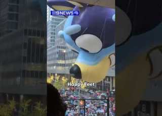 Bluey The Movie Set For Production