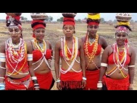 2026 Jongela Badimi Ft Limbu LUCHAGULA X Maiku Sai Song Jiminogeni Doto Video Music Download Free