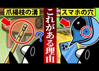 明日から喋れる 知って得する雑学5選 アニメ