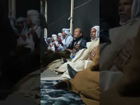 يا فرحي وغنيت زهوي طول زماني مدح التجاني