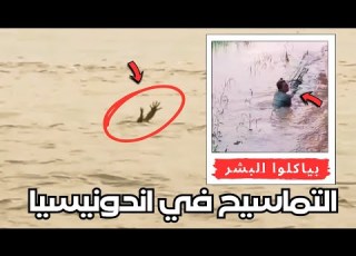 التماسيح في اندونيسيا بيقلدوا الاشخاص اللي بتغرق علشان يخدعوا البشر ويفترسوهم وياكلوهم وهما صاحين