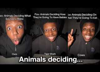  JussDoullaye S Entire Animals Deciding Series