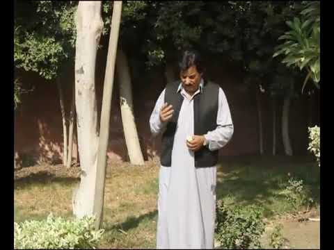 خميس ناجي اللي محبش ميحسش