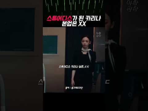 스튜어디스 카리나 본업은 XX