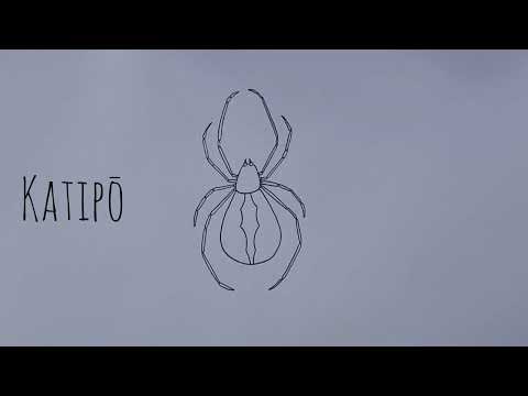 Katipō