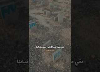 شعر أتمرح إن شاهدت نعشا لهالك