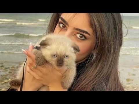 شمس الغرام نوال الكويتية