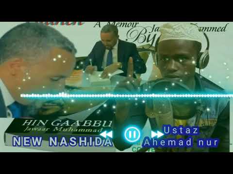 Nashiidaa Ani Hin Gaabbu Jawwee Jettu Hordofaa