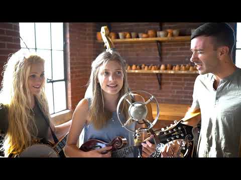 The Scientist The Petersens LIVE