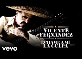  Vicente Fernández Échame A Mí La Culpa Letra Lyrics