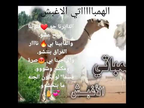 وتر صافي