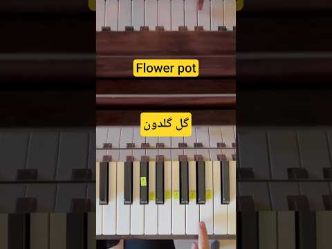 Gole Goldon Shortvideo Shorts Piano Pianotutorial Pianomusic Pianolessons Iranian Music