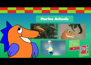  Krazy Krok Productions Marine Animals 2019 Sea Creatures And Classical Music