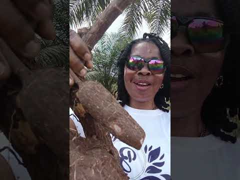 Sharing Is A Blessing