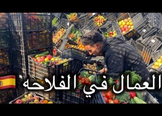  خدمت اليوم في الفلاحه اول مره واش بصح كين ترحيل خدمه بدون اوراق
