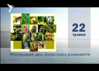 Глас Фрагмент програми Літопис 22 05 2020 15 11