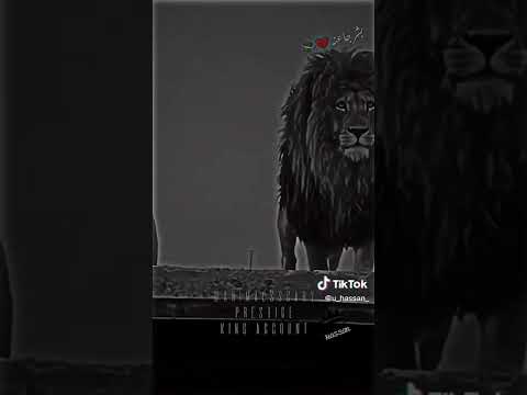 حالات واتس سكتى اخرتها موته