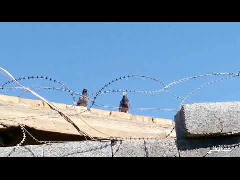 فيروز انا مابدي تجي وتقول اعذريني مشغول فيروز انا مابدي تجي وتقول اعذريني مشغول