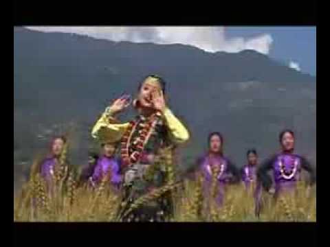 Limbu Song Lakhiro Aalla By Sunita Subba