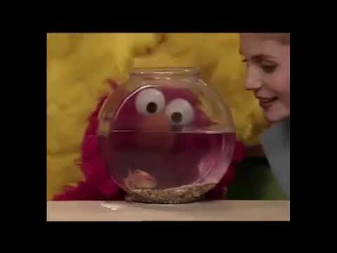Sesame Street Episode 3918 Full