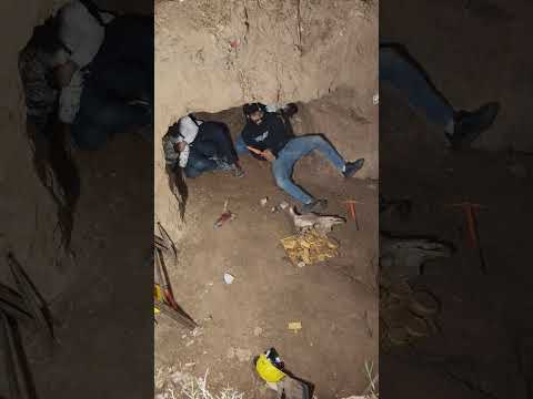 Jay Shri Sanvariya Seth Ji Ki Mujhecharnoselgalemereshyammurlivale Mereshyam Merababashyam Funny